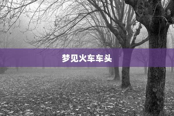 梦见火车车头