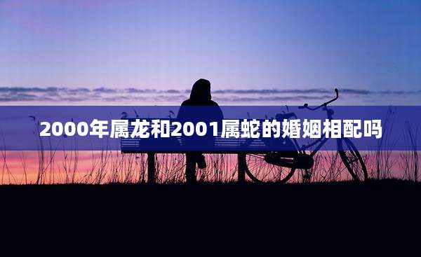 2000年属龙和2001属蛇的婚姻相配吗