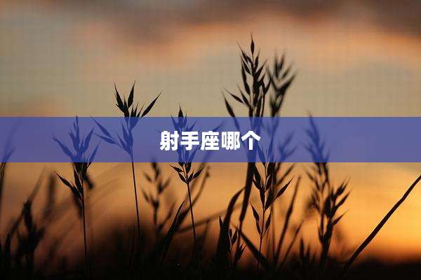 射手座哪个
