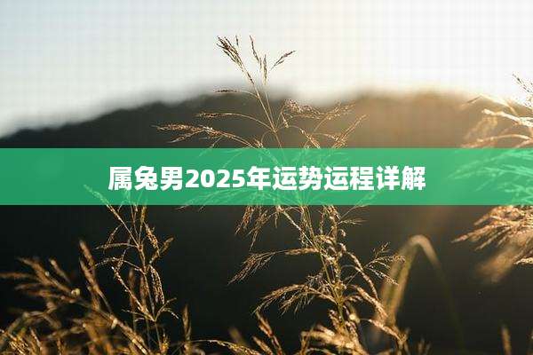 属兔男2025年运势运程详解