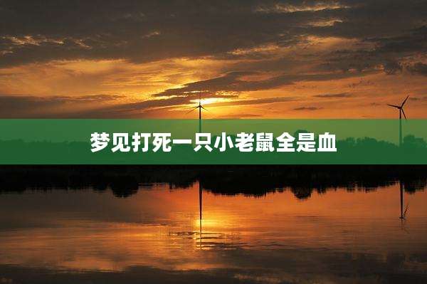 梦见打死一只小老鼠全是血