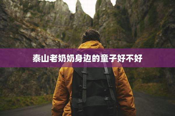 泰山老奶奶身边的童子好不好