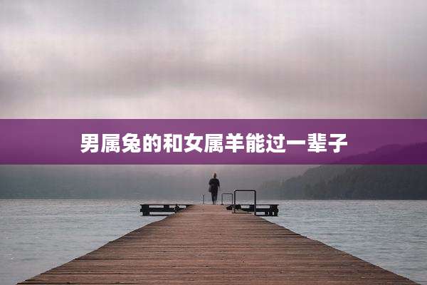 男属兔的和女属羊能过一辈子