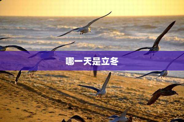 哪一天是立冬