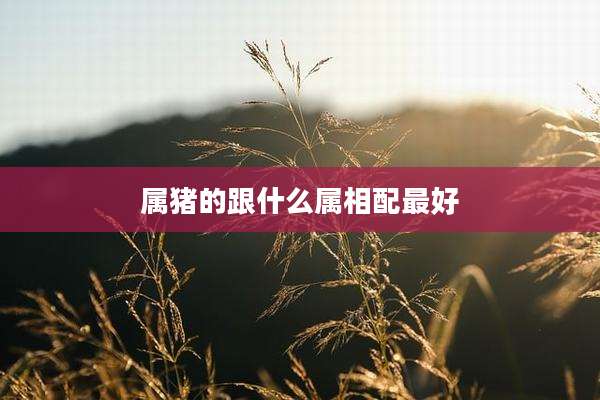 属猪的跟什么属相配最好