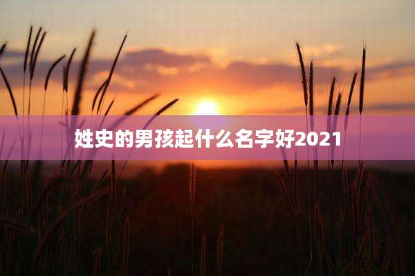 姓史的男孩起什么名字好2021