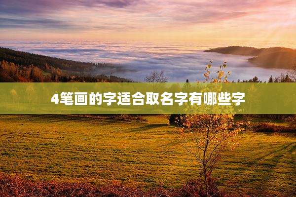 4笔画的字适合取名字有哪些字