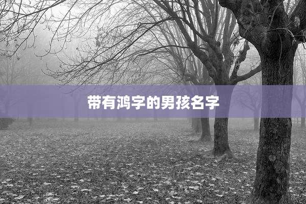 带有鸿字的男孩名字
