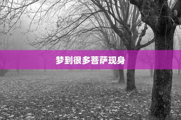 梦到很多菩萨现身