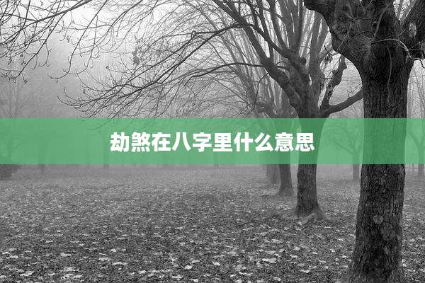 劫煞在八字里什么意思