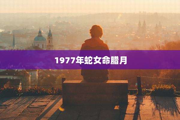 1977年蛇女命腊月