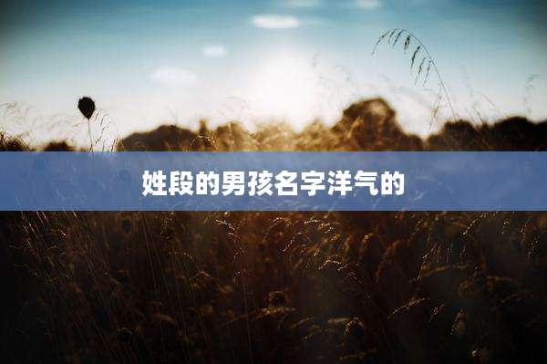 姓段的男孩名字洋气的
