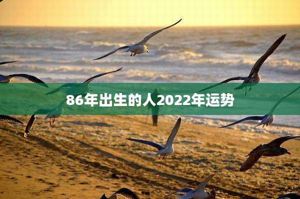 86年出生的人2022年运势