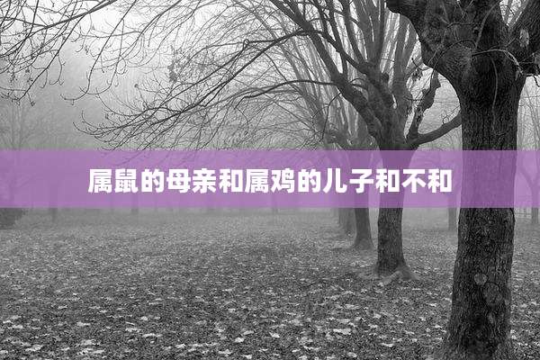 属鼠的母亲和属鸡的儿子和不和