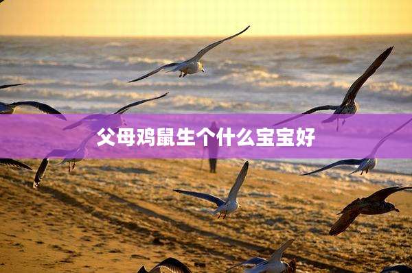 父母鸡鼠生个什么宝宝好