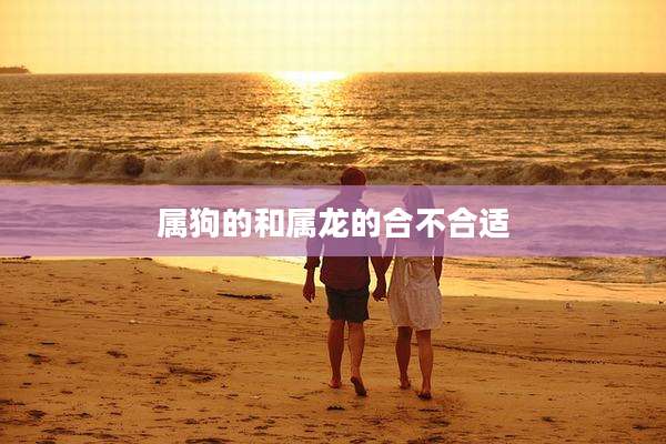 属狗的和属龙的合不合适
