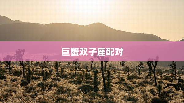巨蟹双子座配对