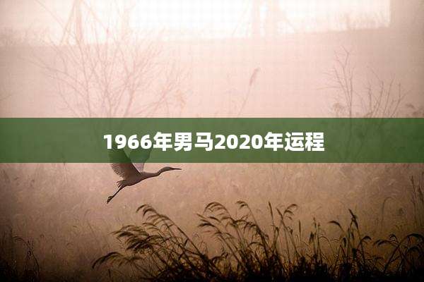 1966年男马2020年运程