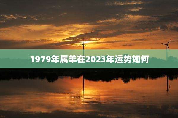 1979年属羊在2023年运势如何