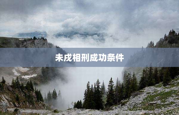 未戌相刑成功条件