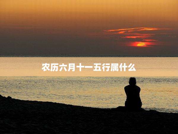 农历六月十一五行属什么