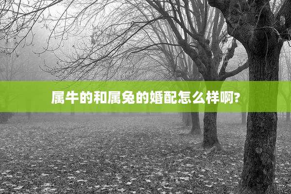 属牛的和属兔的婚配怎么样啊?