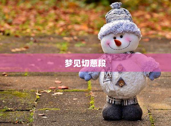 梦见切葱段