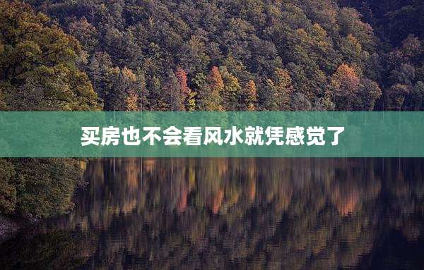 买房也不会看风水就凭感觉了
