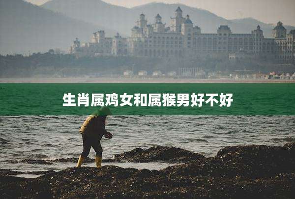 生肖属鸡女和属猴男好不好