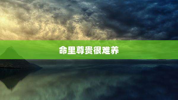 命里尊贵很难养