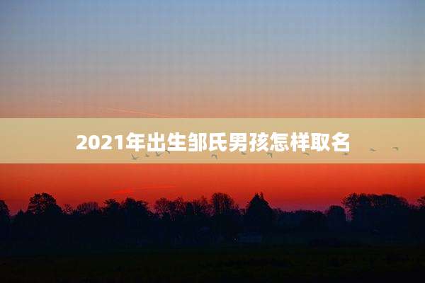 2021年出生邹氏男孩怎样取名