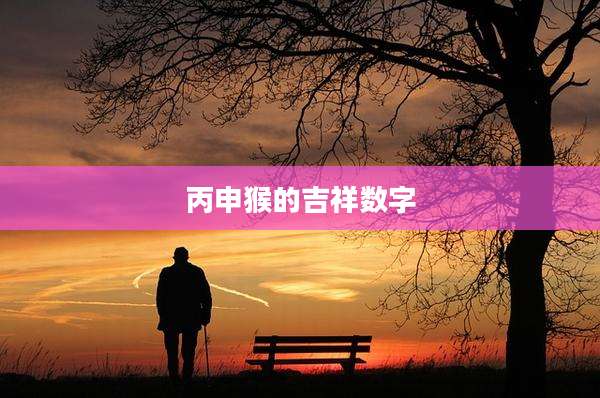 丙申猴的吉祥数字