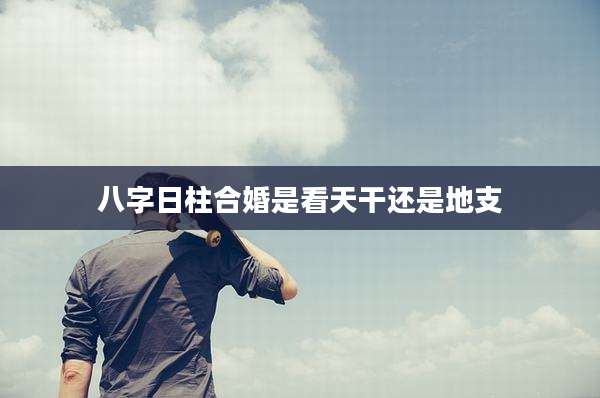 八字日柱合婚是看天干还是地支