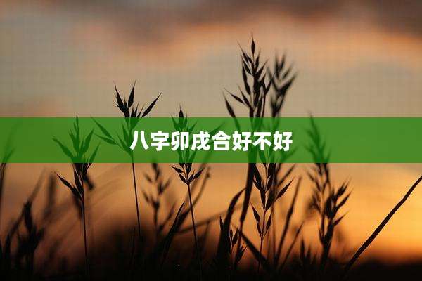 八字卯戌合好不好