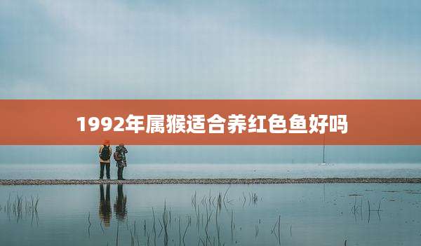 1992年属猴适合养红色鱼好吗
