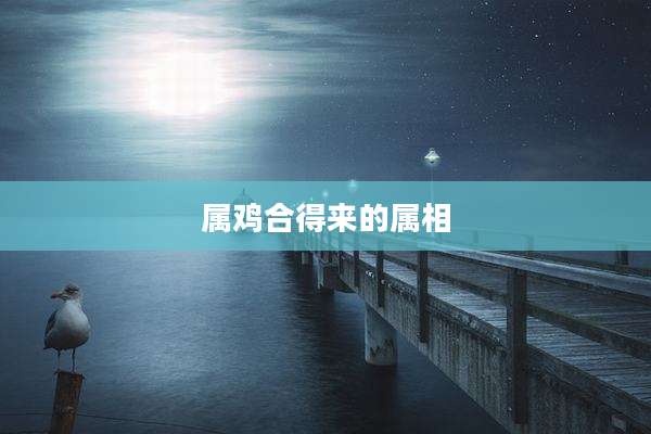 属鸡合得来的属相
