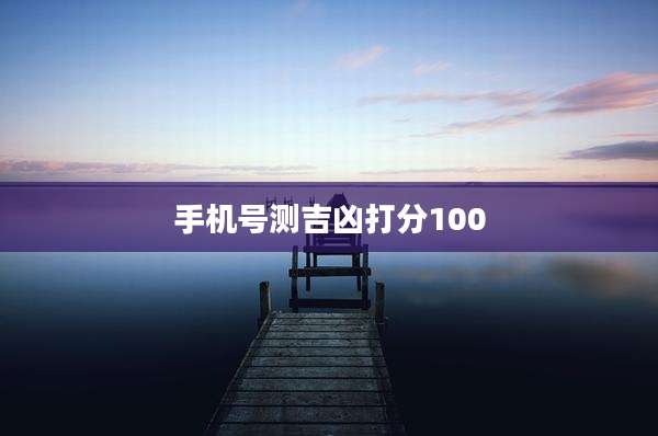 手机号测吉凶打分100