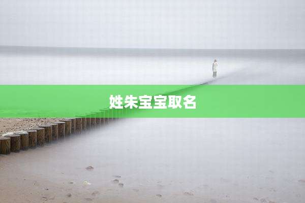 姓朱宝宝取名