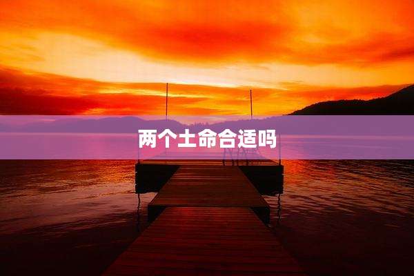 两个土命合适吗
