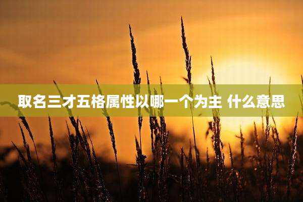 取名三才五格属性以哪一个为主 什么意思