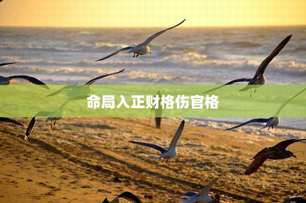 命局入正财格伤官格