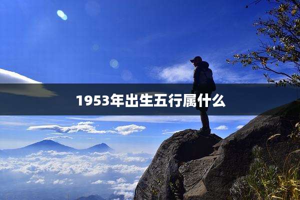 1953年出生五行属什么