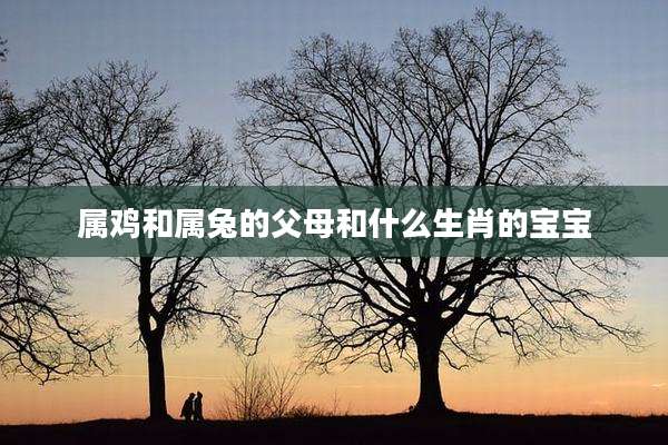 属鸡和属兔的父母和什么生肖的宝宝