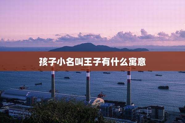 孩子小名叫王子有什么寓意