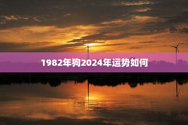 1982年狗2024年运势如何