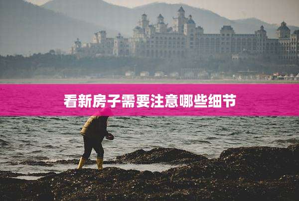 看新房子需要注意哪些细节