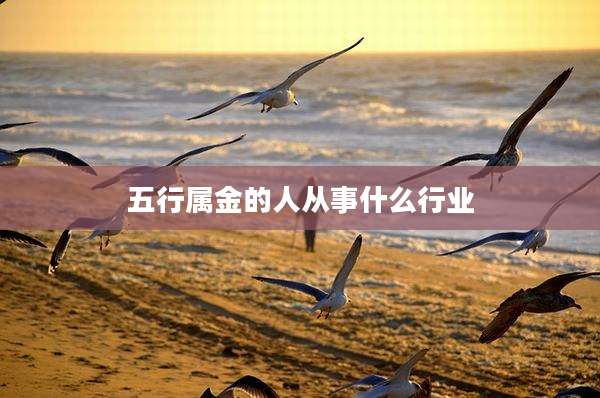 五行属金的人从事什么行业