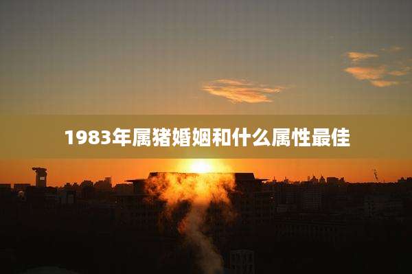 1983年属猪婚姻和什么属性最佳