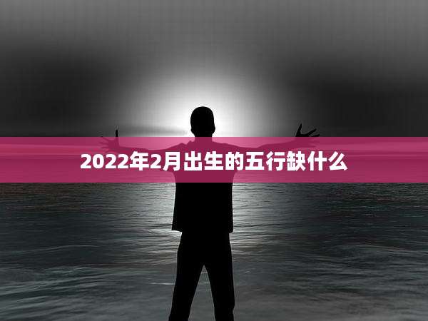 2022年2月出生的五行缺什么