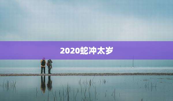 2020蛇冲太岁